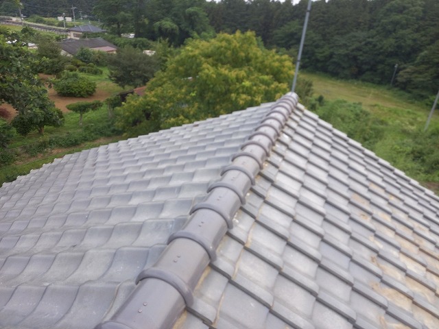 七寸丸一本伏せ完成